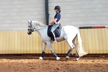 Horsemanship Paard en ruiter