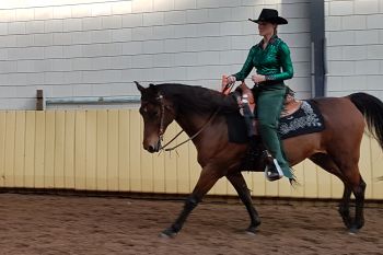 Horsemanship Paard en ruiter in galop op een cirkel